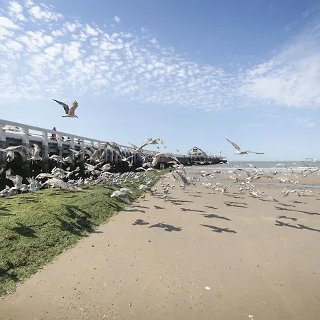 Appartement By Interhome