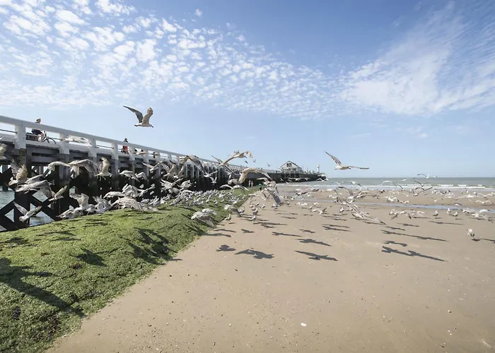 Appartement By Interhome